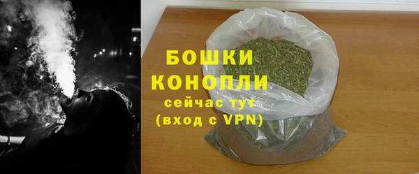 индика Волосово
