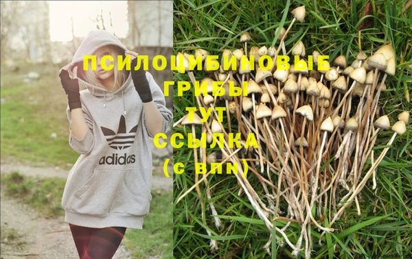 индика Волосово
