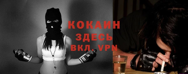 Альфа ПВП Верея