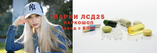 Альфа ПВП Верея