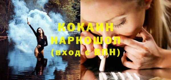 индика Волосово