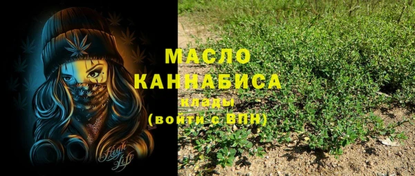 индика Волосово