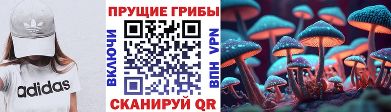 Псилоцибиновые грибы мицелий  продажа наркотиков  Глазов 